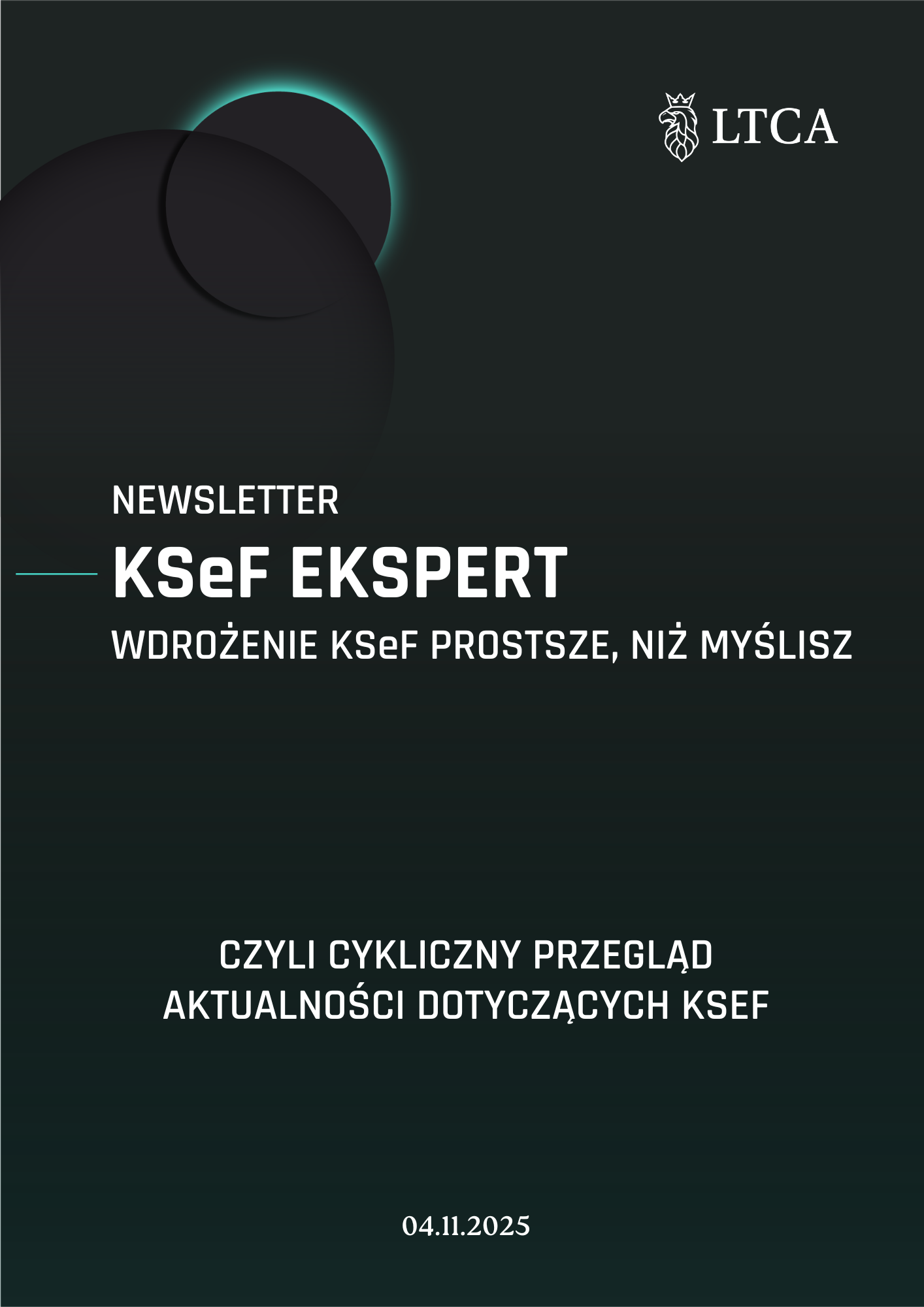 Newsletter KSeF 04.11.2025