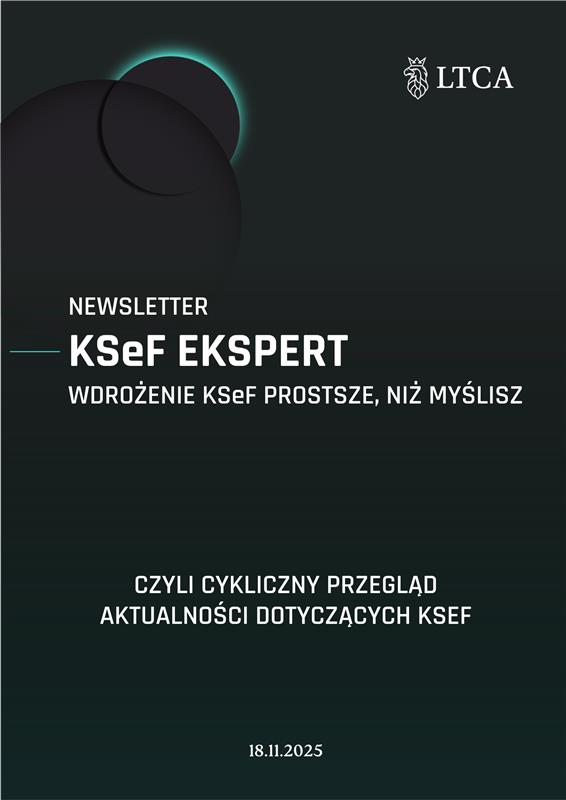 Newsletter KSeF 18.11.2025