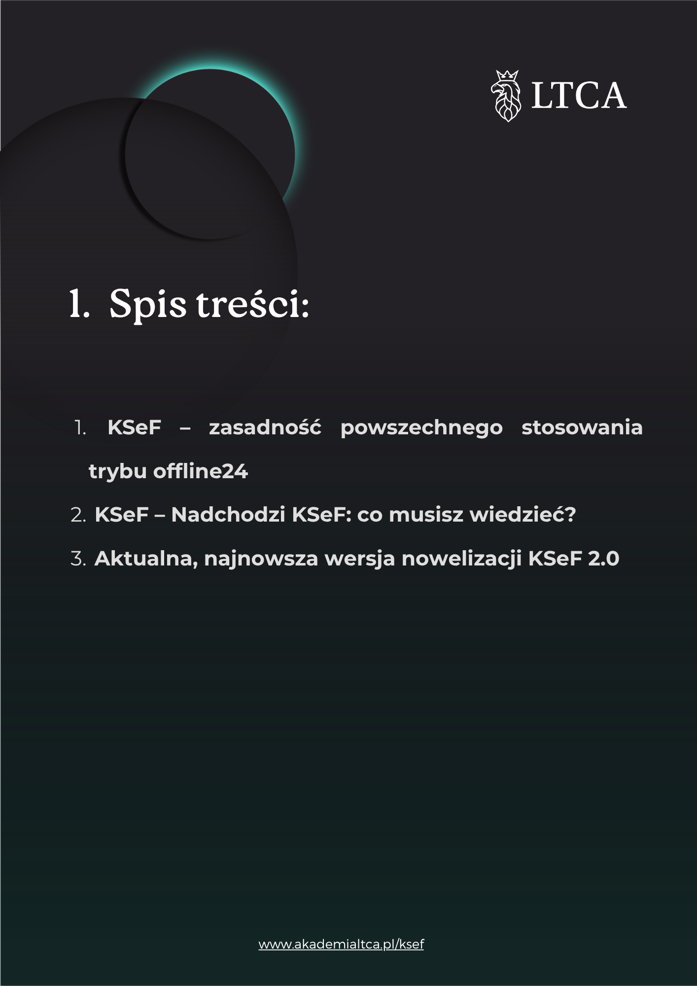 Spis treści - Newsletter KSeF 17.06.2025