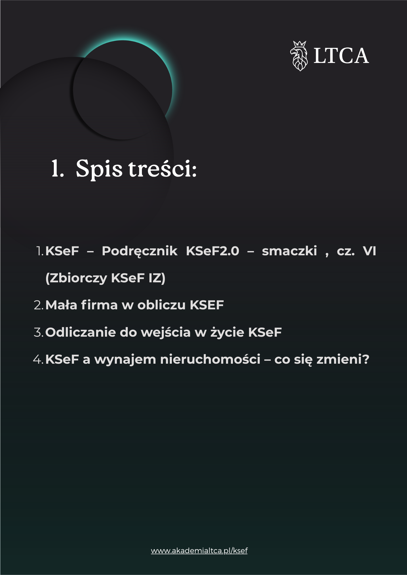 Spis treści - Newsletter KSeF 04.11.2025
