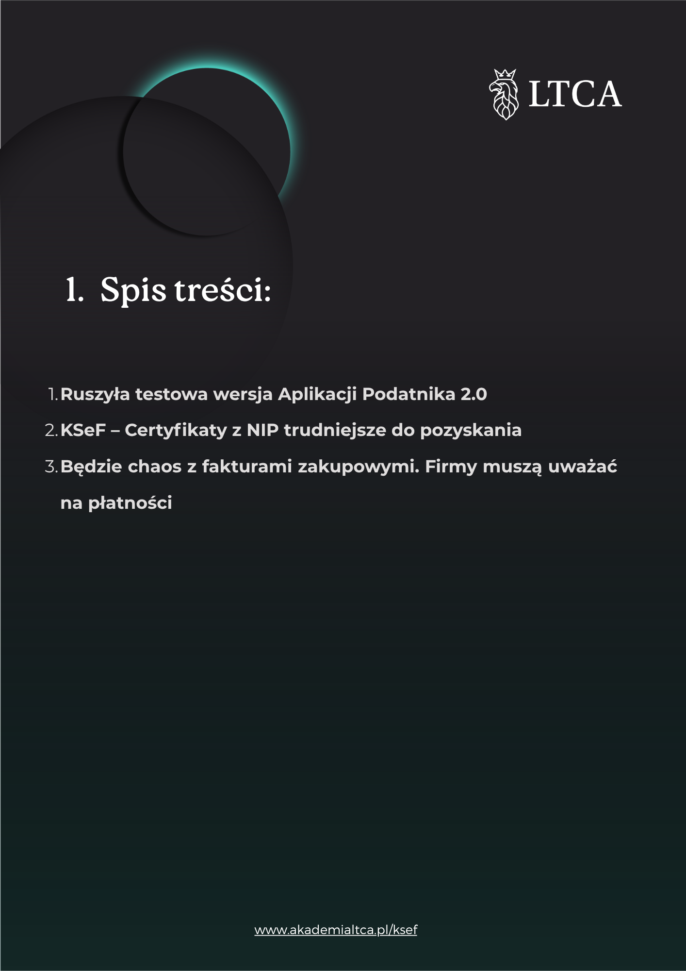 Spis treści - Newsletter KSeF 18.11.2025