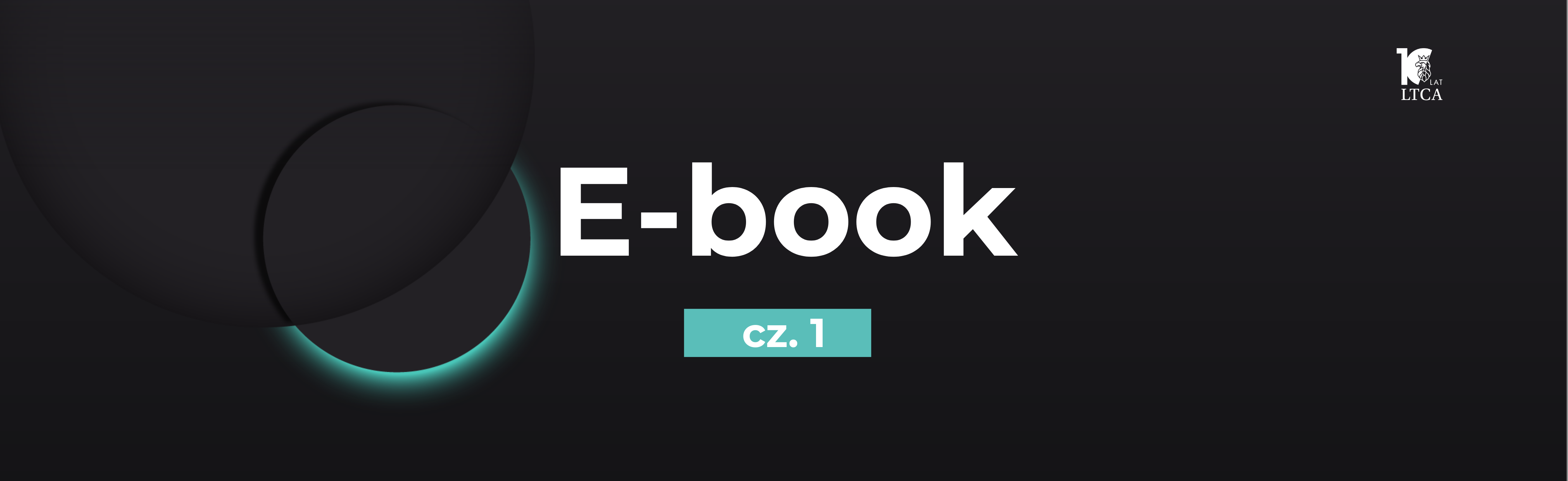E-book: „Zasady ogólne i założenia systemowe Krajowego Systemu e-Faktur” cz.1